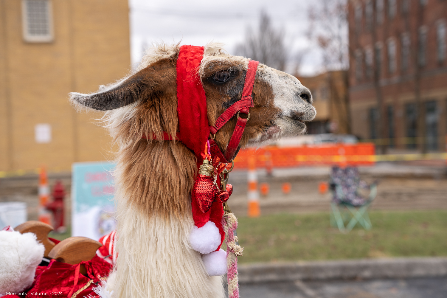 Kingsport’s Christmas Spirit: A Legacy of Love and Laughter