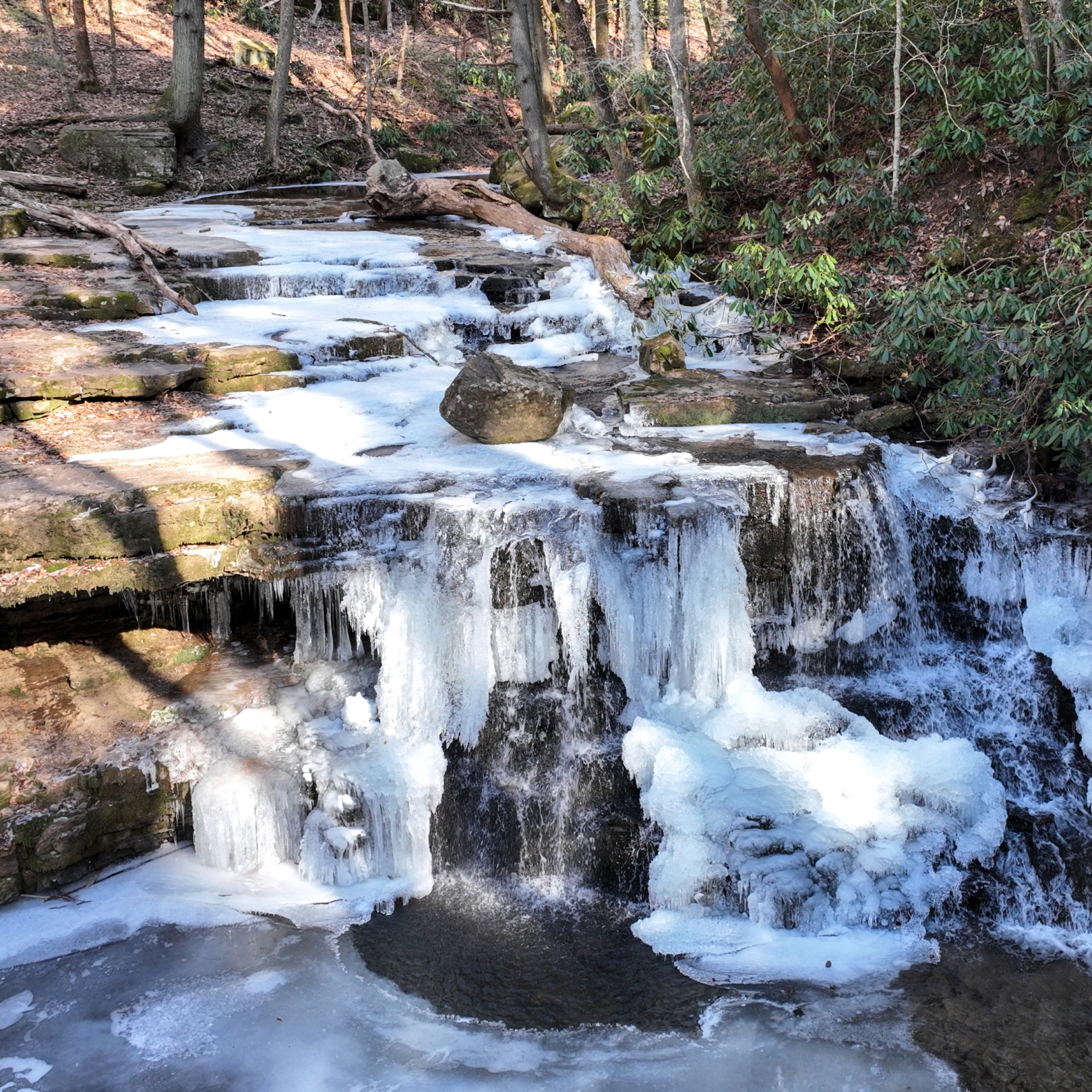 Chasing Frozen Time at Laurel Run Park