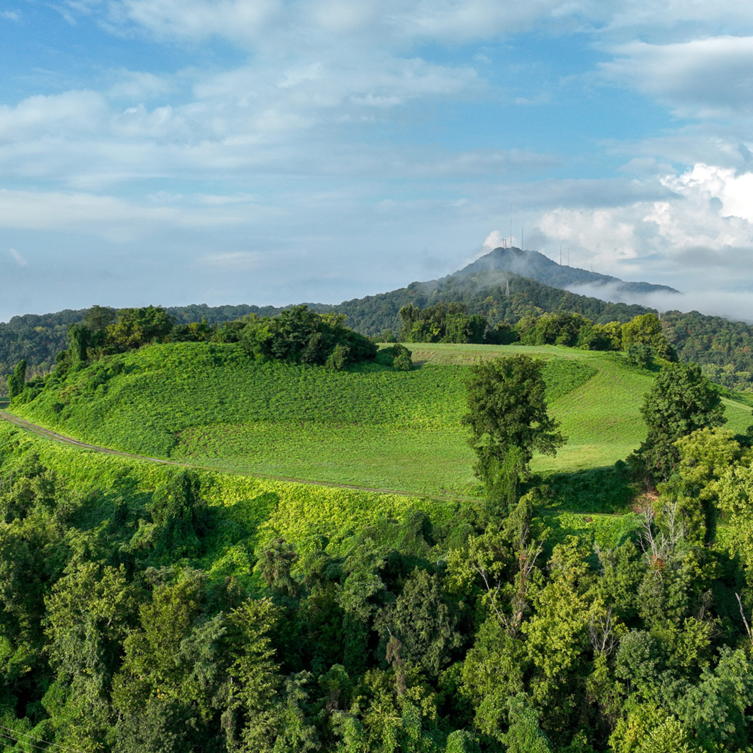 Cement Hill, Brickyard Village, and the View Ahead